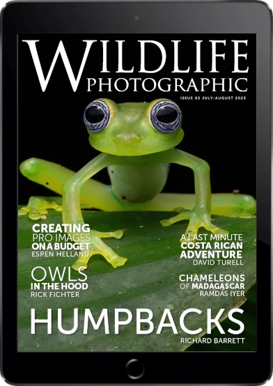 Wildlife Photographic Magazine Cover